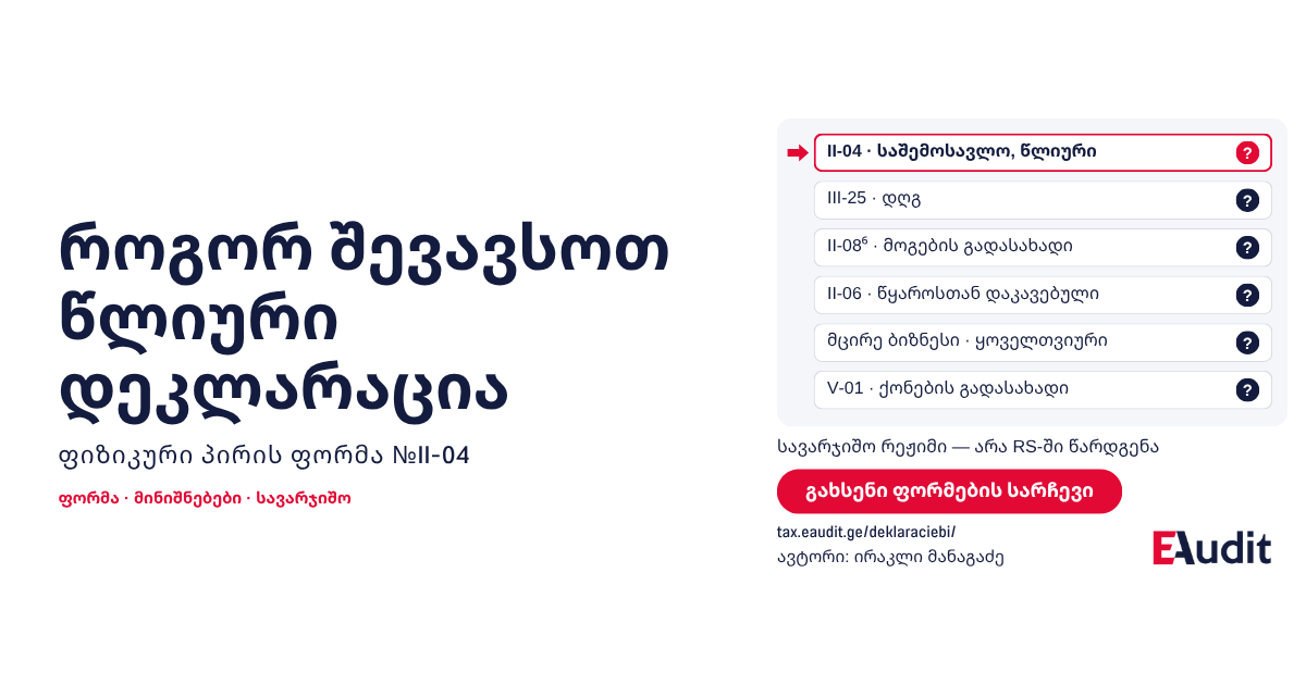როგორ შევავსოთ ფიზიკური პირის საშემოსავლო გადასახადის წლიური დეკლარაცია — ფორმის გაცნობა და სავარჯიშო შევსება
